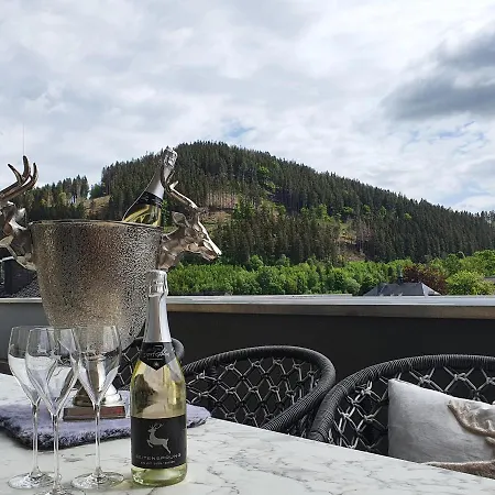 Apartment Alm-loft Im Birkenhof Willingen (Upland)