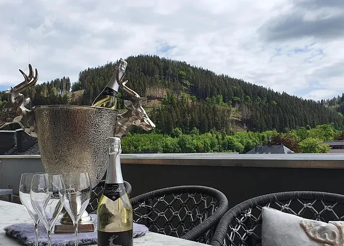 Apartment Alm-loft Im Birkenhof Willingen (Upland)